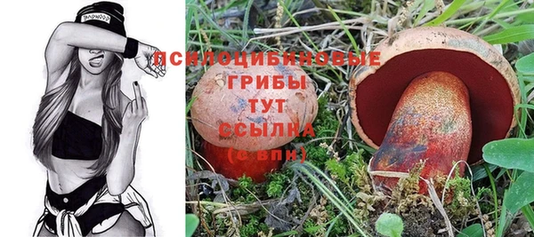герыч Балахна