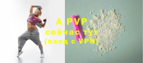 спайс Баксан