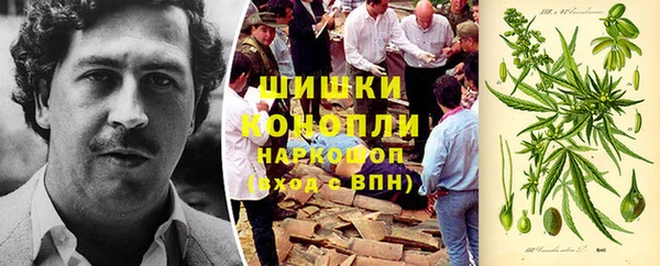 спайс Баксан