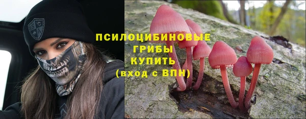СК Балабаново