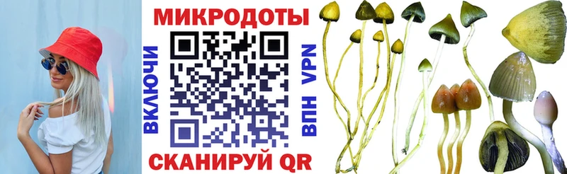 Галлюциногенные грибы Cubensis  Сунжа 